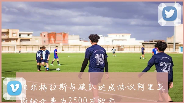 帕尔梅拉斯与狼队达成协议阿里亚斯转会费为2500万欧元